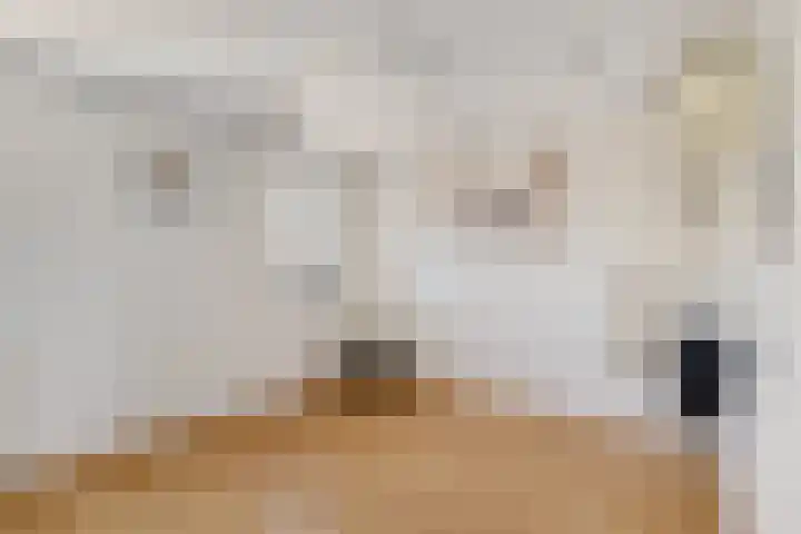 Ponddreef 78 Woerden thumbnail 21
