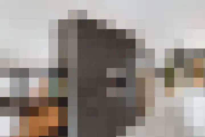 Ponddreef 86 Woerden thumbnail 16