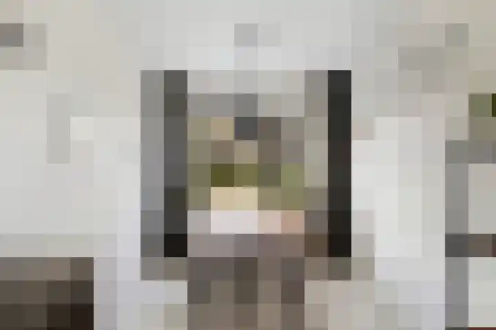 Ponddreef 86 Woerden thumbnail 18