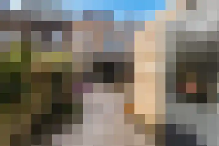 Ponddreef 86 Woerden thumbnail 25