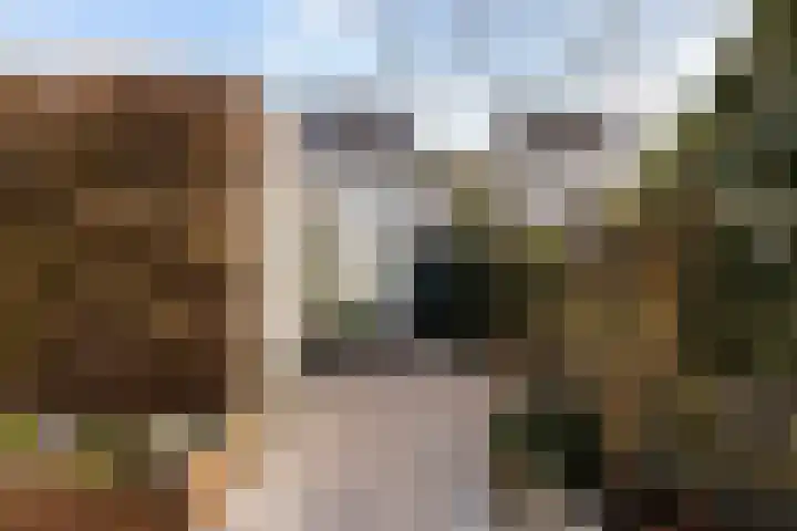 Ponddreef 86 Woerden thumbnail 28