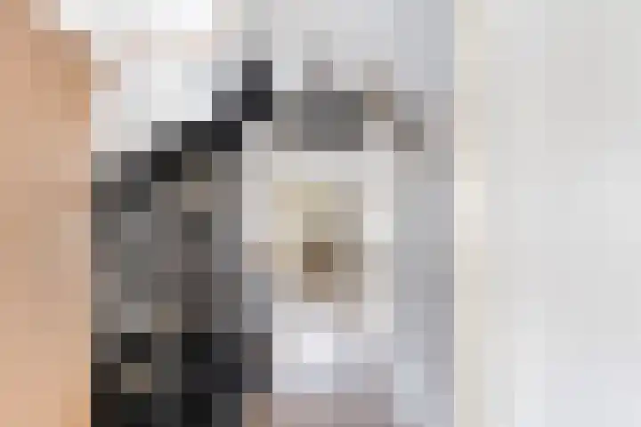 Ponddreef 86 Woerden thumbnail 29