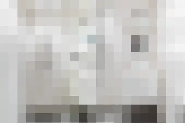 Ponddreef 86 Woerden thumbnail 43