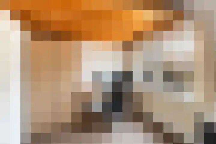 Ponddreef 86 Woerden thumbnail 52