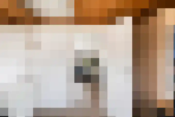 Ponddreef 86 Woerden thumbnail 53