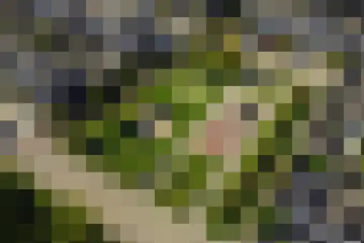 Ponddreef 86 Woerden thumbnail 60