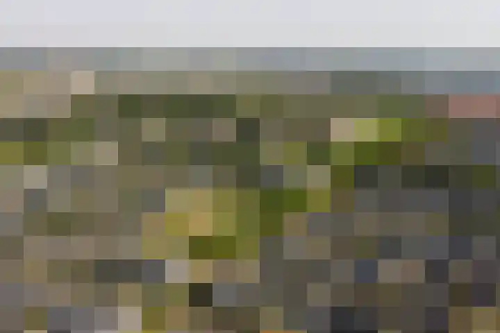 Ponddreef 86 Woerden thumbnail 61