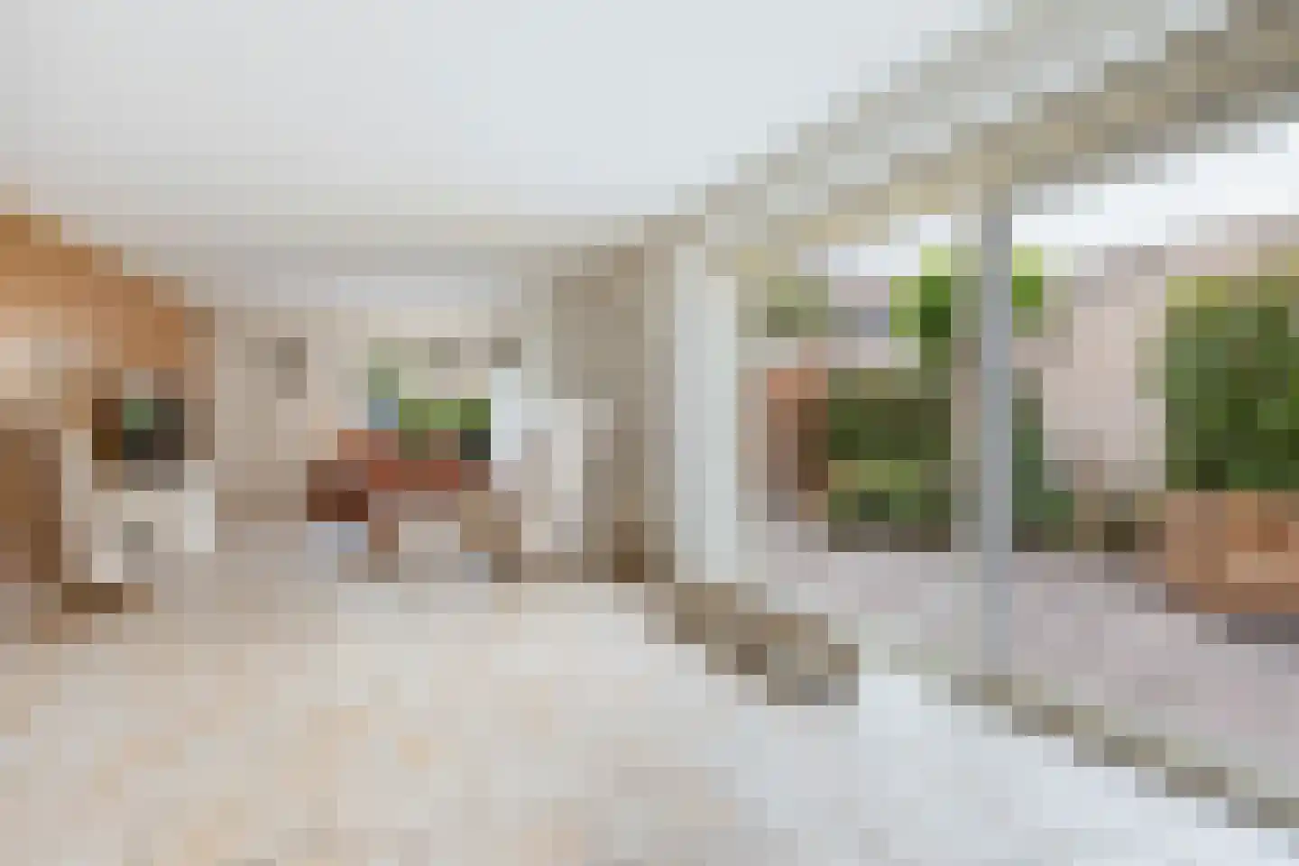 Ponddreef 9 Woerden thumbnail 13