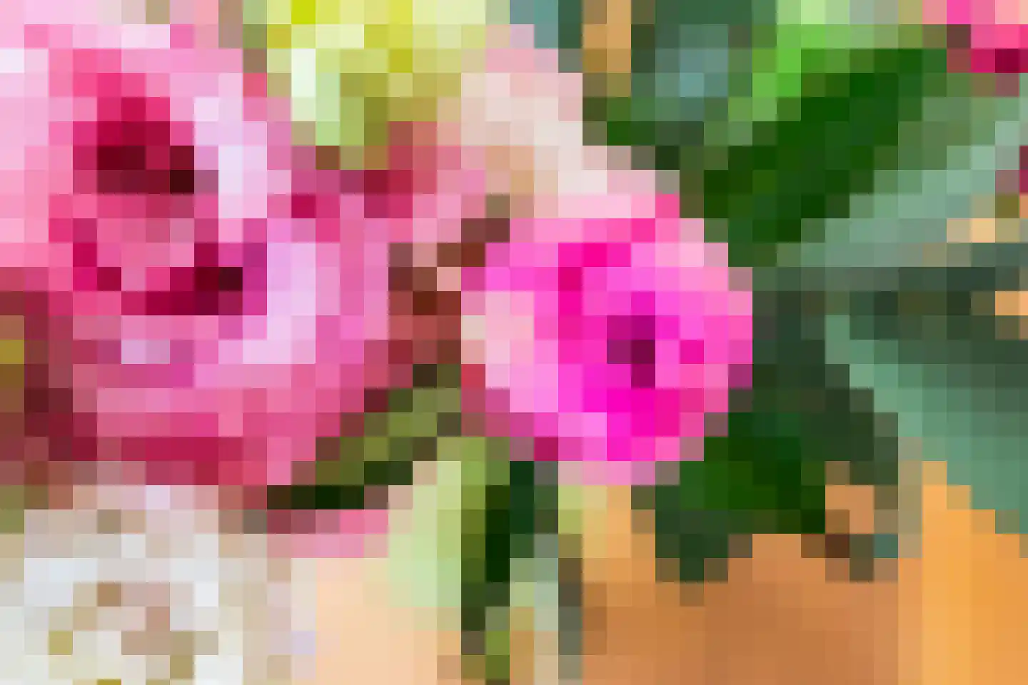 Ponddreef 9 Woerden thumbnail 14