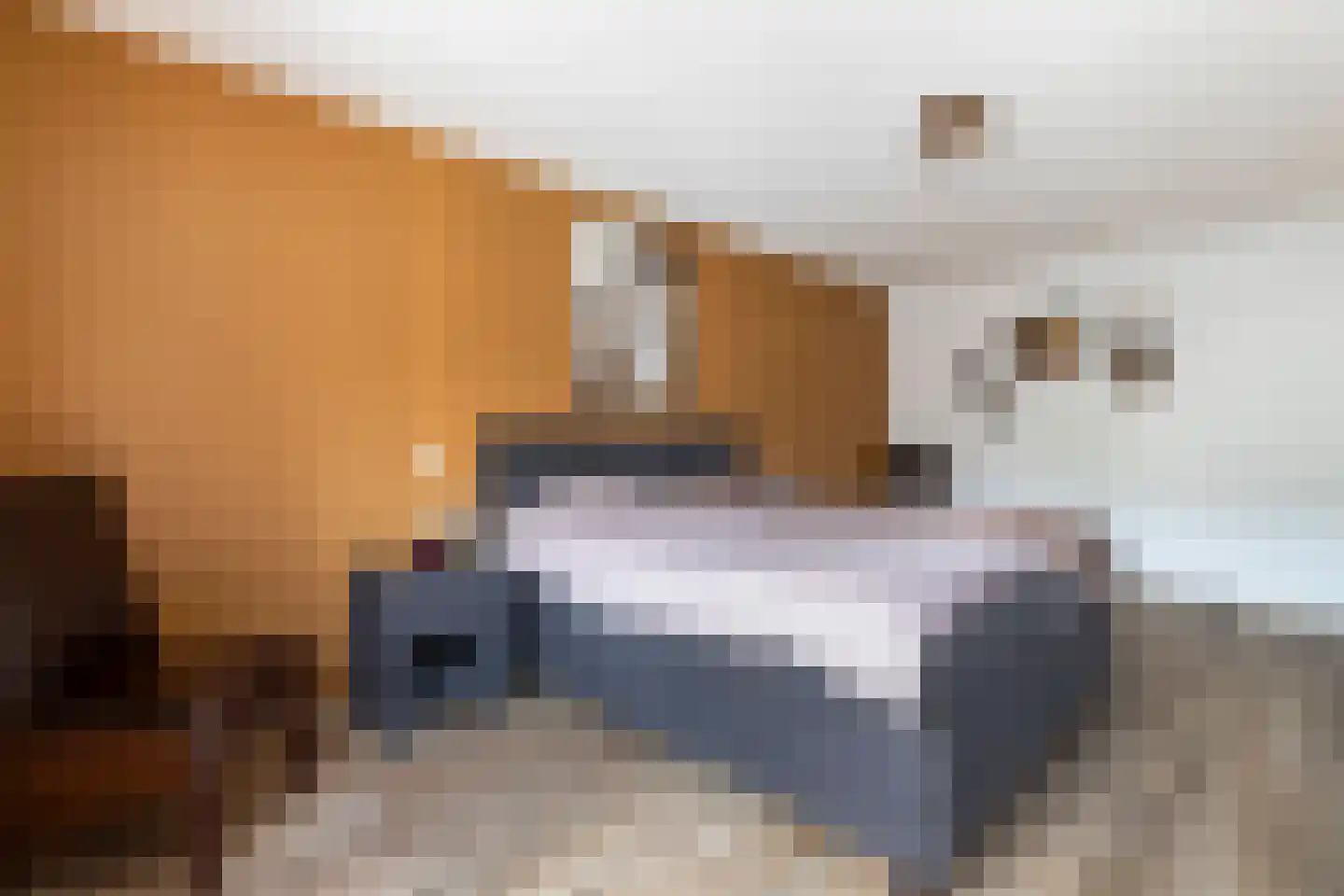 Ponddreef 9 Woerden thumbnail 16