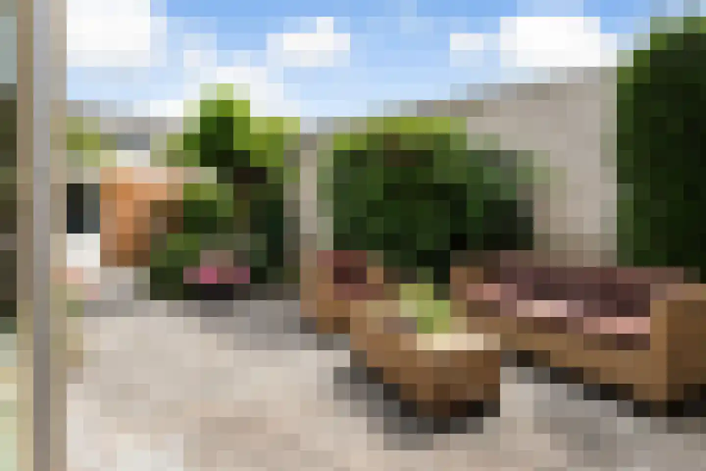 Ponddreef 9 Woerden thumbnail 34