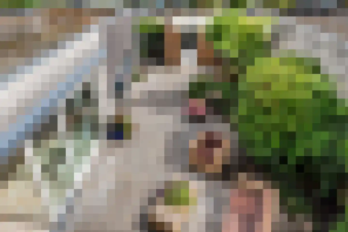 Ponddreef 9 Woerden thumbnail 35