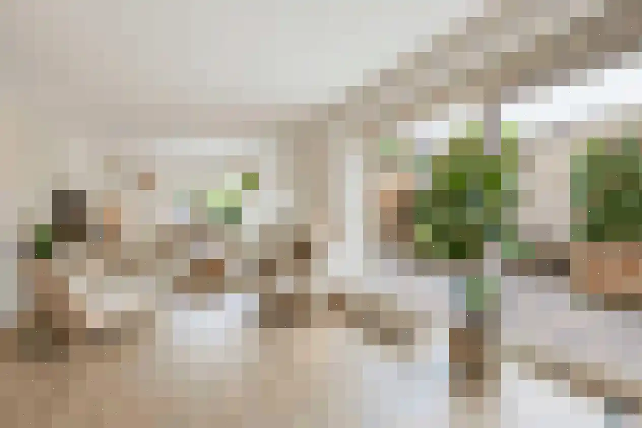 Ponddreef 9 Woerden thumbnail 57