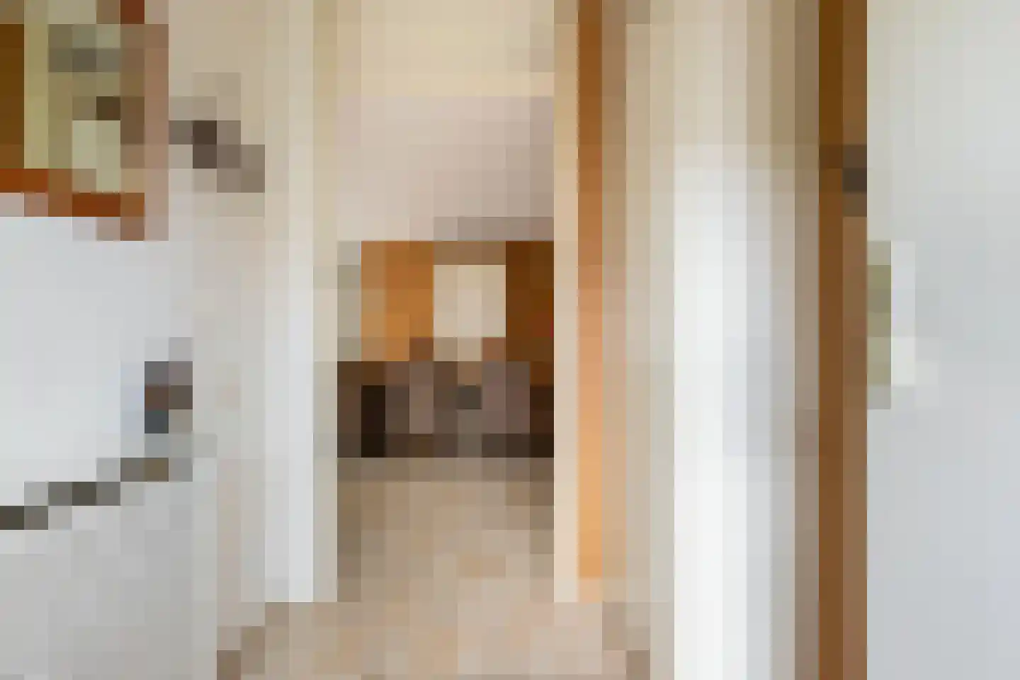 Ponddreef 9 Woerden thumbnail 6