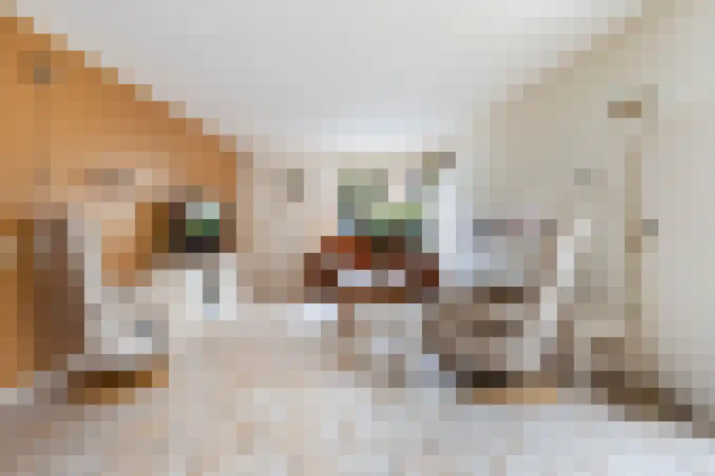 Ponddreef 9 Woerden thumbnail 8