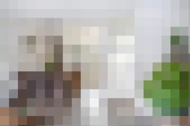 Pondstraat 19 Delfgauw thumbnail 13