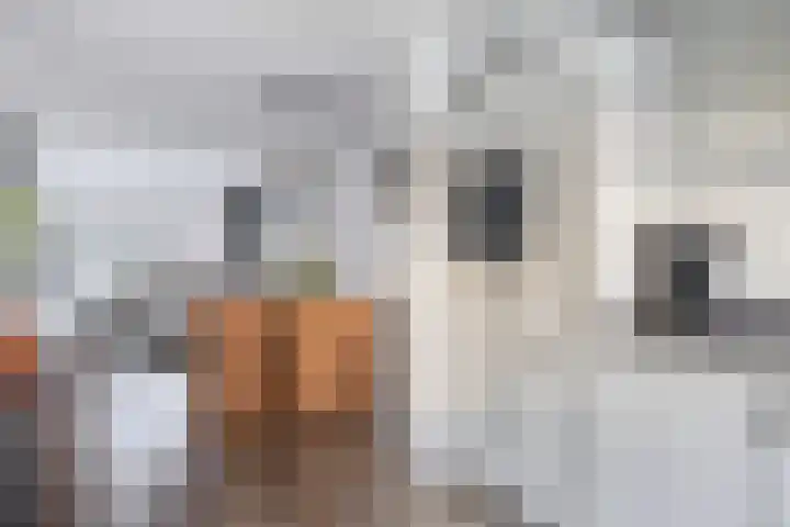 Pondstraat 19 Delfgauw thumbnail 16