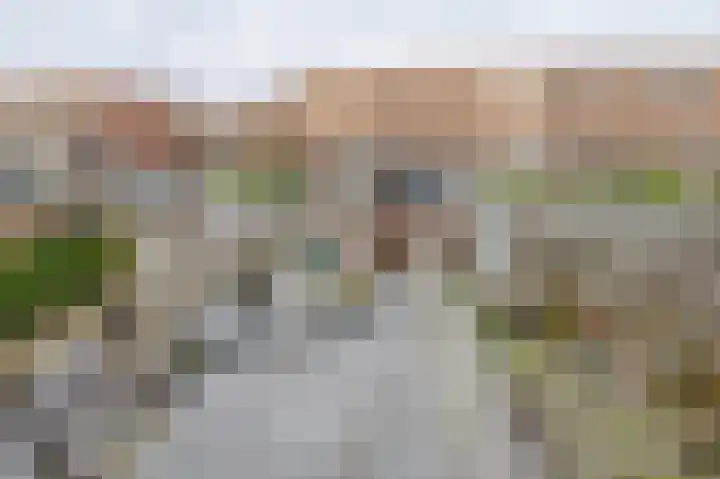 Pondstraat 19 Delfgauw thumbnail 23
