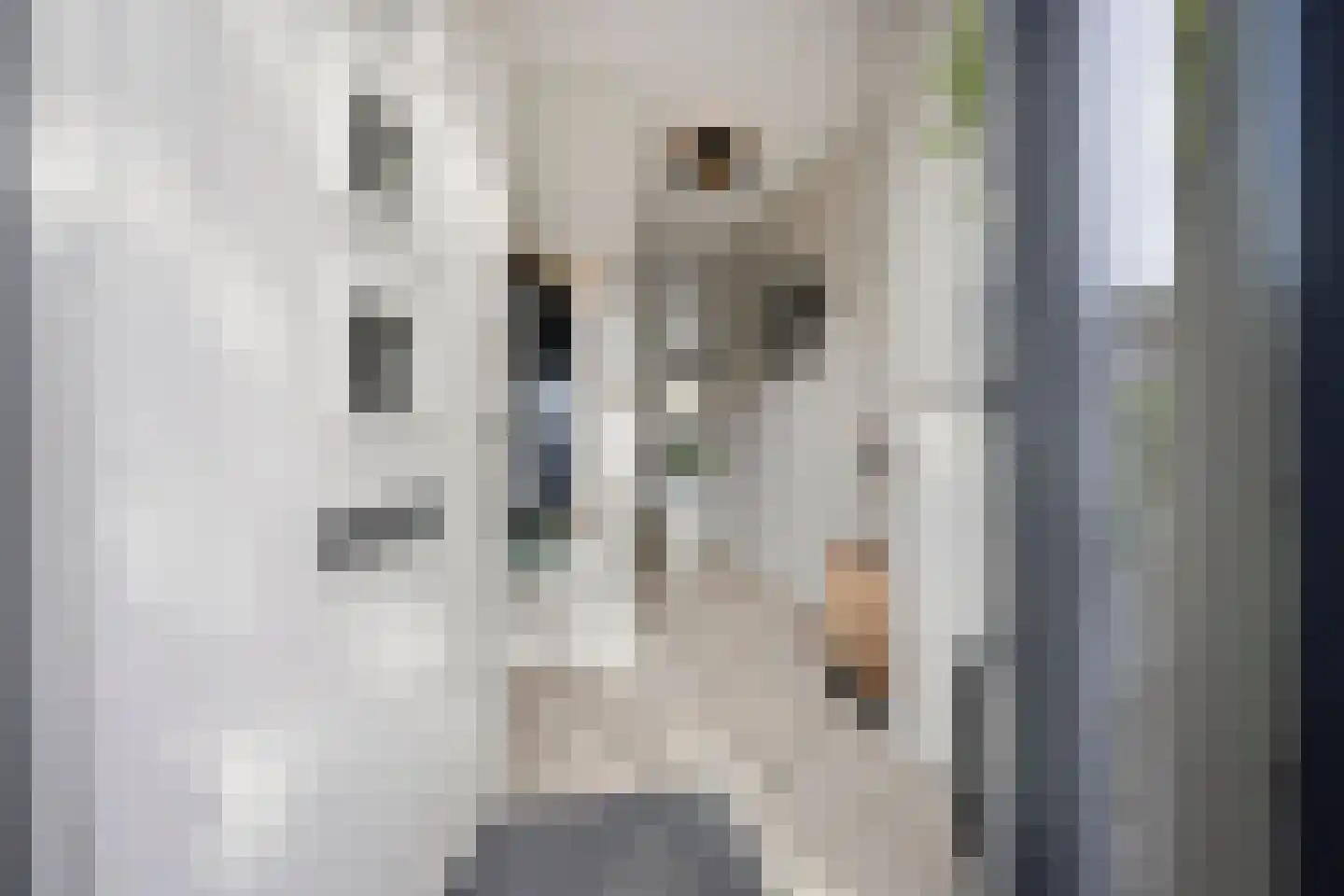 Pondstraat 5 Delfgauw thumbnail 10
