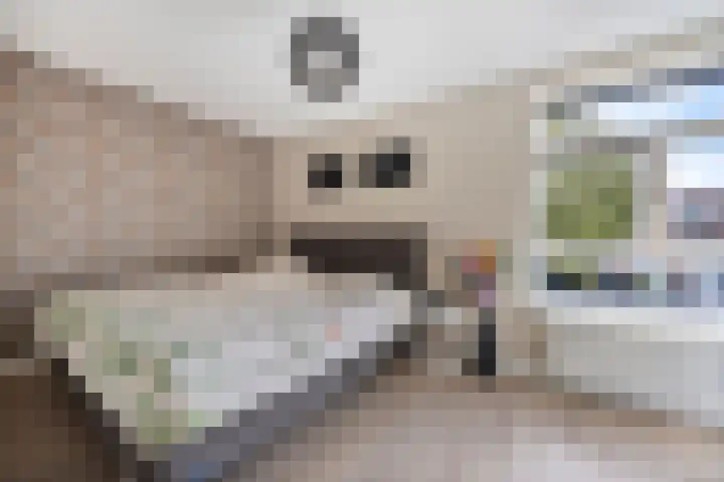 Pondstraat 5 Delfgauw thumbnail 23