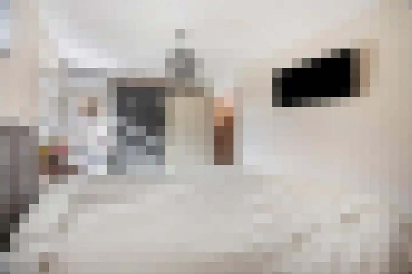 Pondstraat 5 Delfgauw thumbnail 24