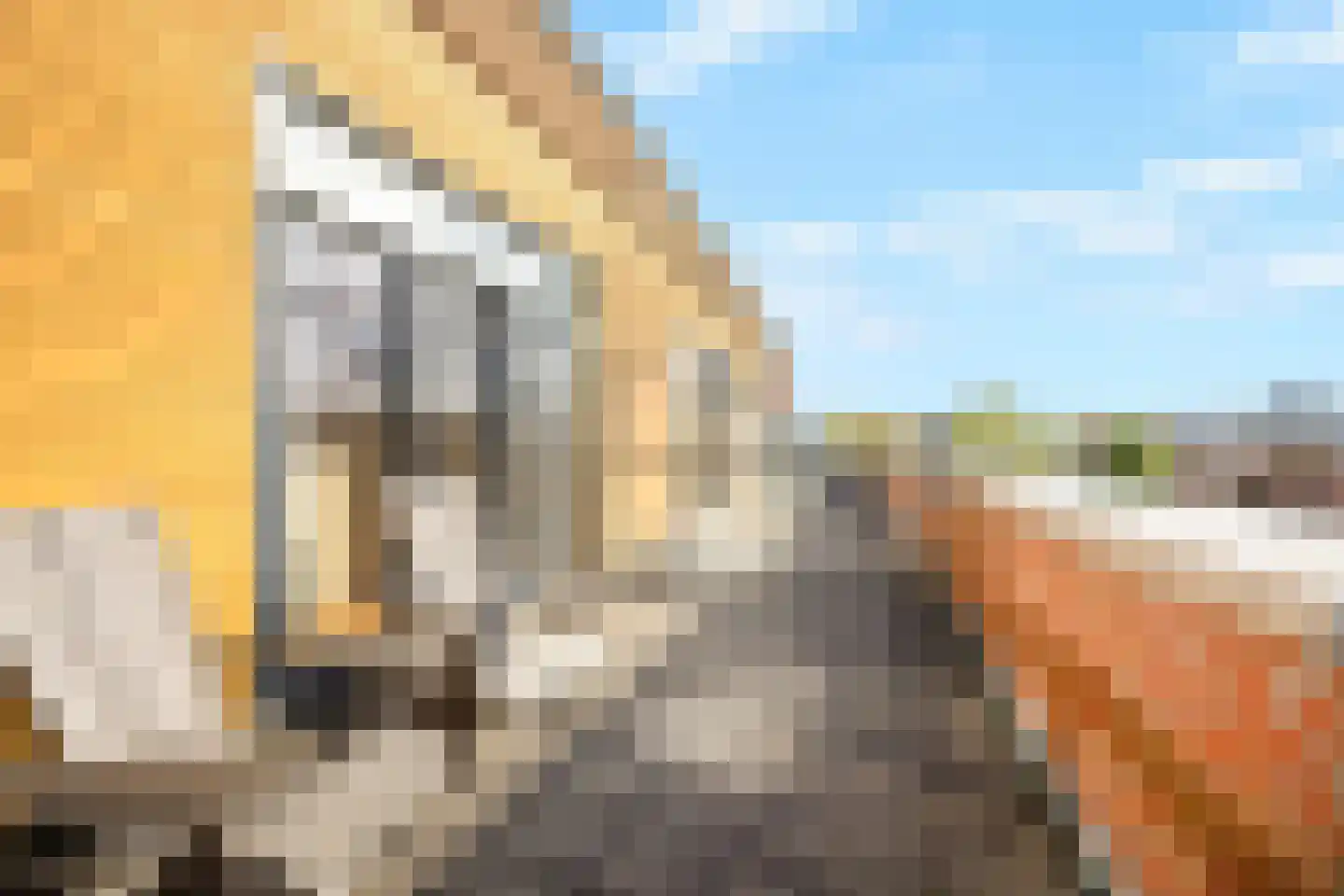 Pondstraat 5 Delfgauw thumbnail 33