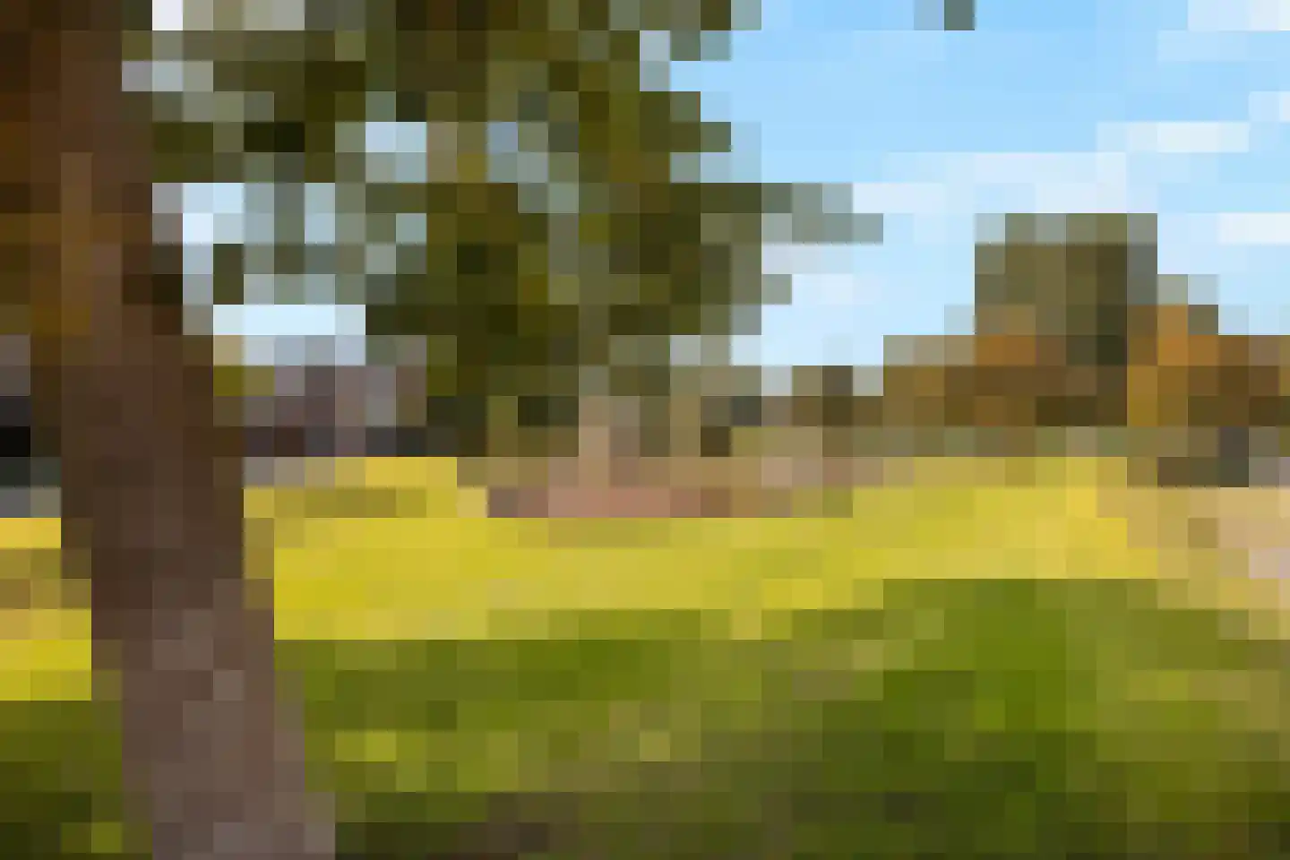 Pondstraat 5 Delfgauw thumbnail 39