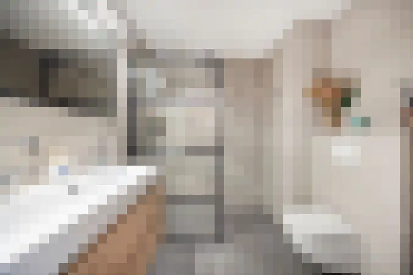 Pondstraat 5 Delfgauw thumbnail 7