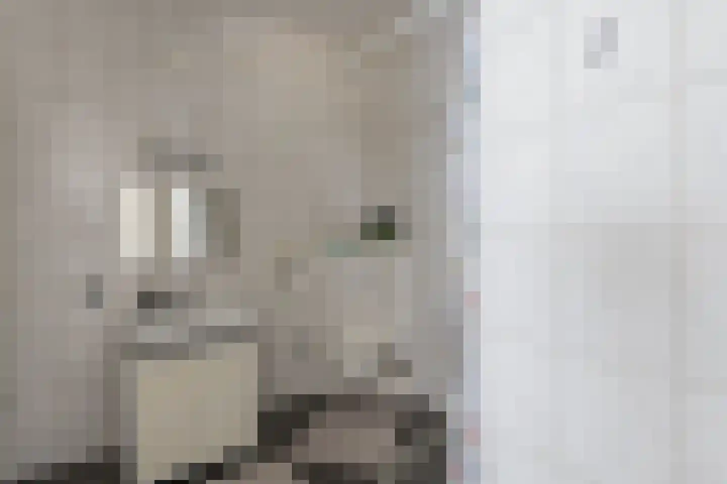 Ponjaardruwe 121 B Maastricht thumbnail 18