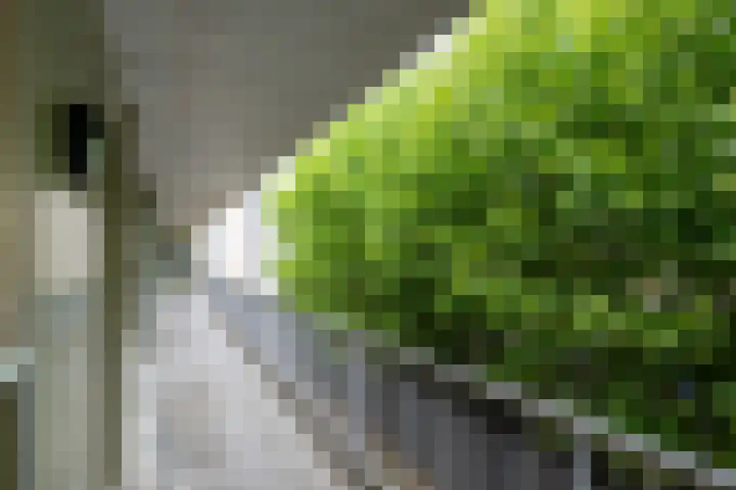 Ponjaardruwe 125 B Maastricht thumbnail 13