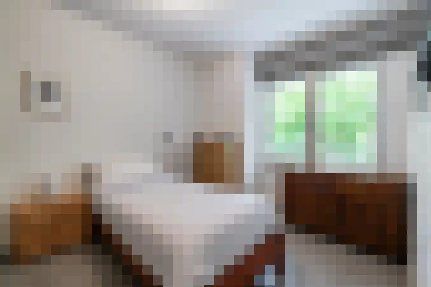 Ponjaardruwe 125 B Maastricht thumbnail 8