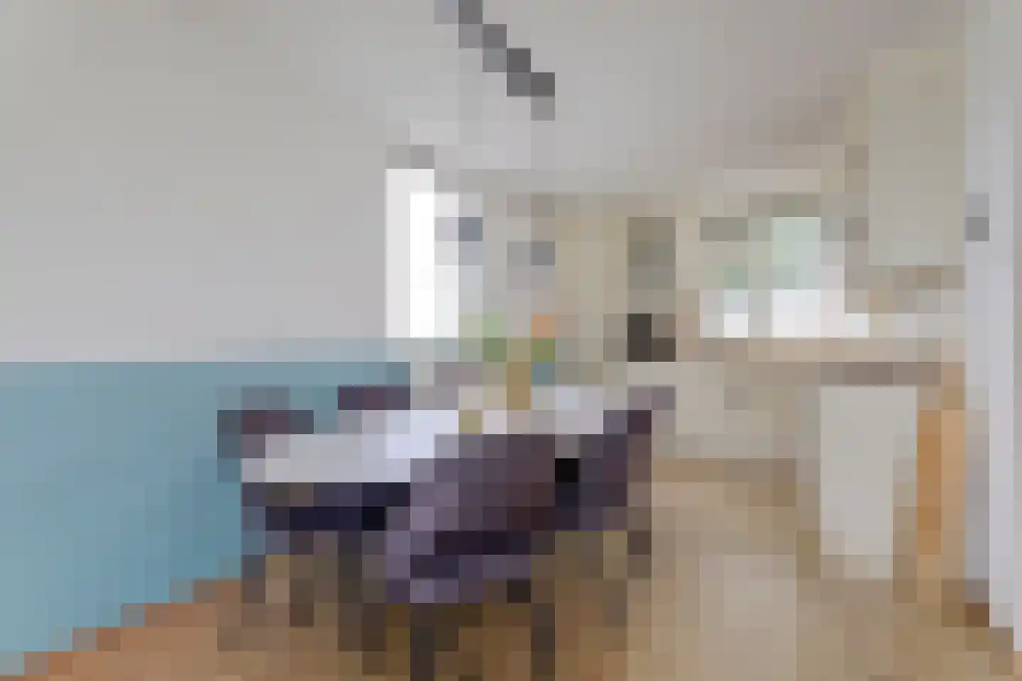 Ponser 28 Sappemeer thumbnail 11
