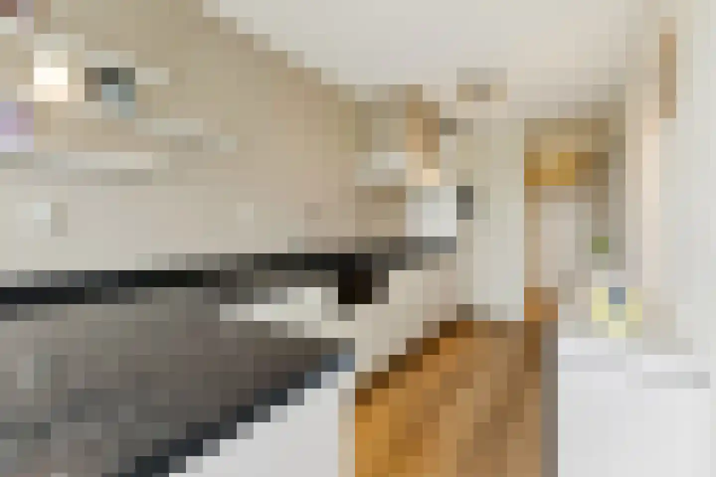 Ponserstraat 20 Amsterdam thumbnail 13