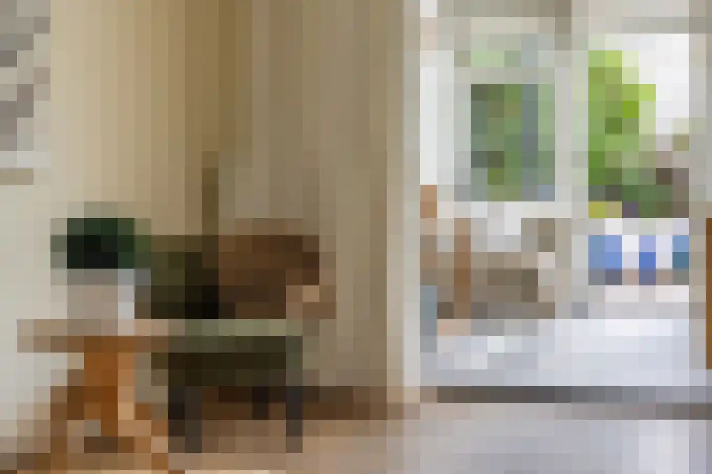 Pontanuslaan 36 Arnhem thumbnail 18