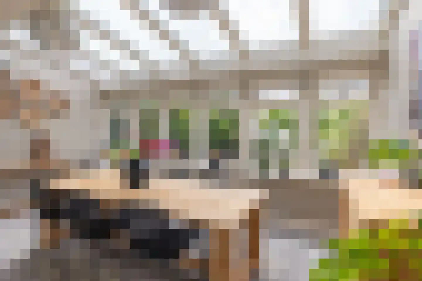 Pontanuslaan 36 Arnhem thumbnail 19