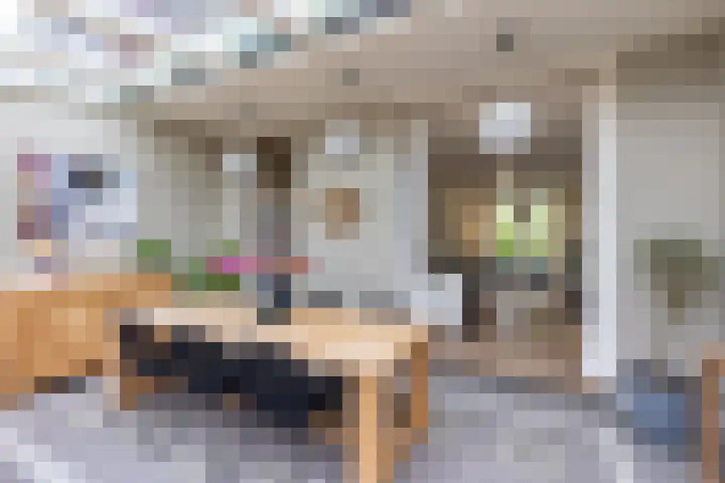 Pontanuslaan 36 Arnhem thumbnail 20
