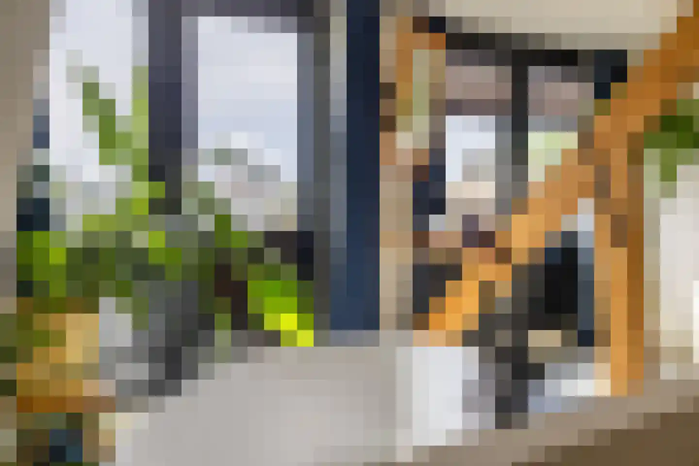 Pontanuslaan 36 Arnhem thumbnail 35