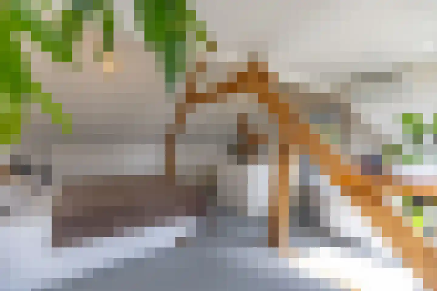 Pontanuslaan 36 Arnhem thumbnail 4