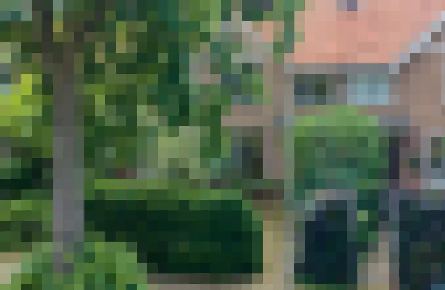 Pontanuslaan 36 Arnhem thumbnail 6