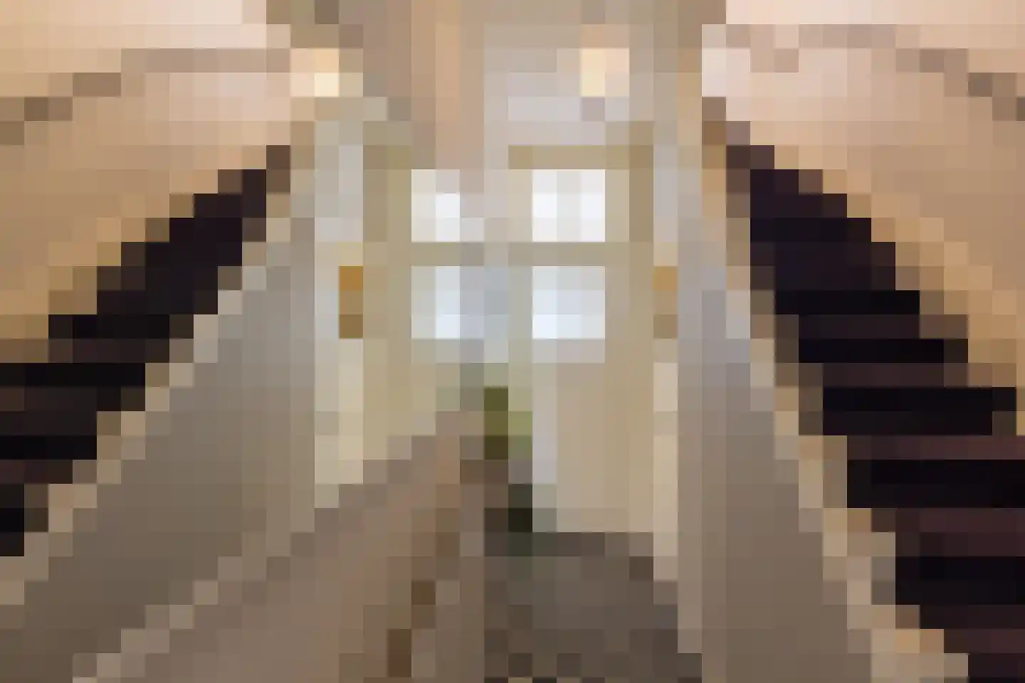 Pontanuslaan 36 Arnhem thumbnail 8