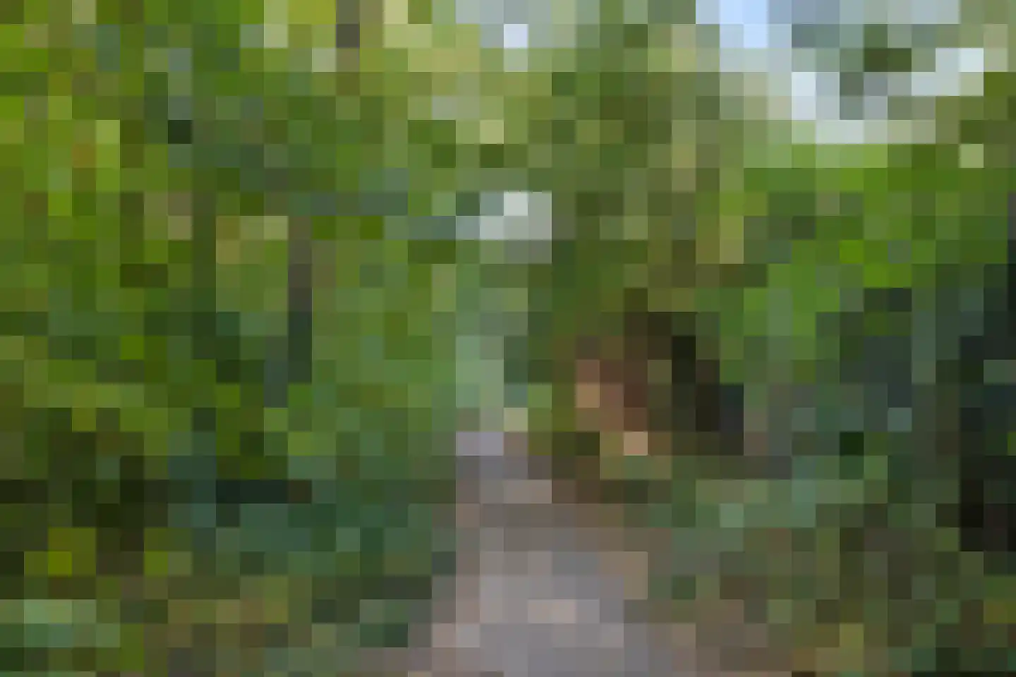 Pontanuslaan 82 Arnhem thumbnail 34