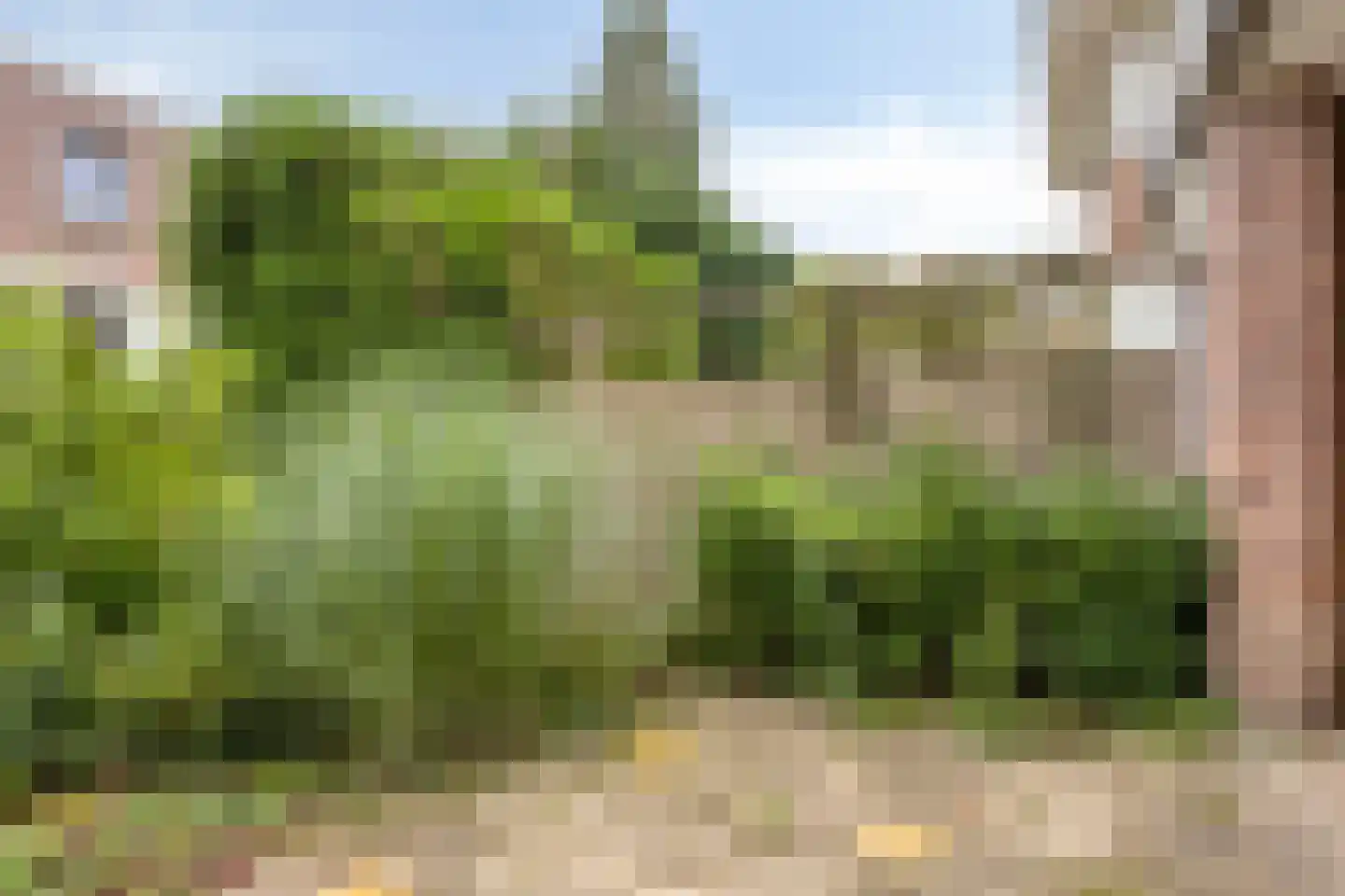 Pontanuslaan 82 Arnhem thumbnail 9