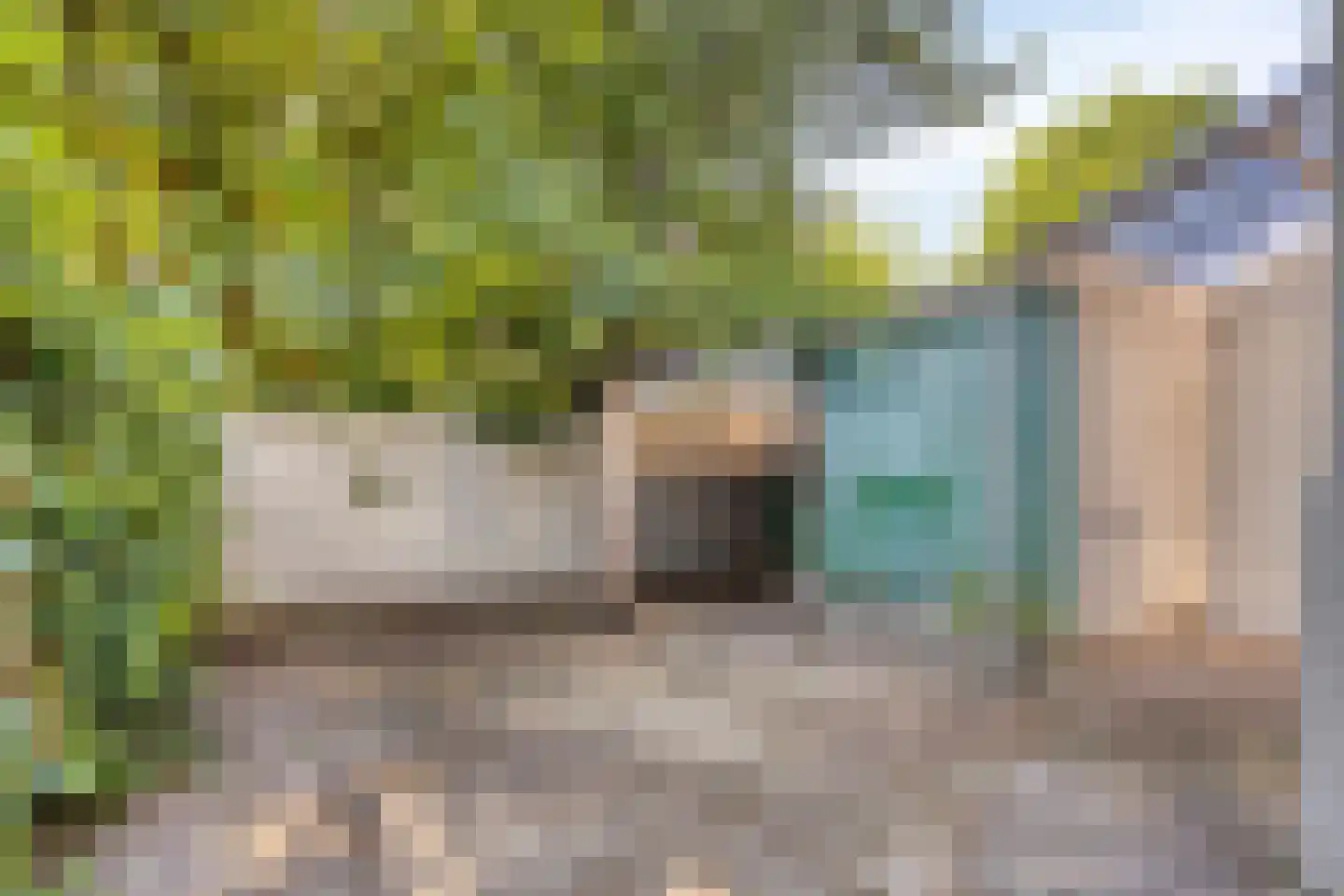 Pontanuslaan 96 Arnhem thumbnail 5