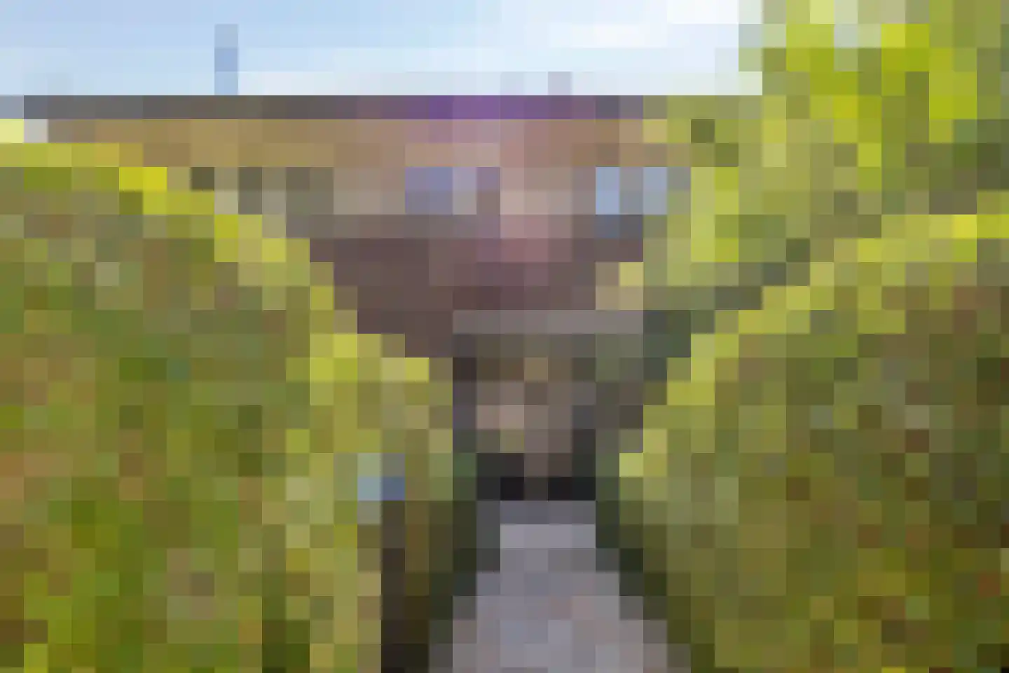 Pontanuslaan 96 Arnhem thumbnail 6