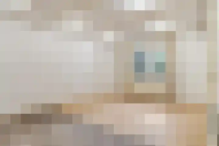 Pontanusstraat 15 Nijmegen thumbnail 23