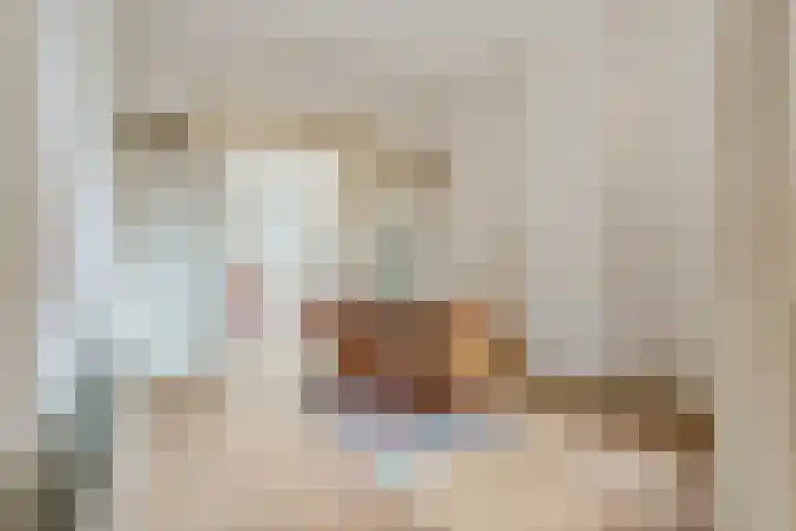 Pontanusstraat 15 Nijmegen thumbnail 9