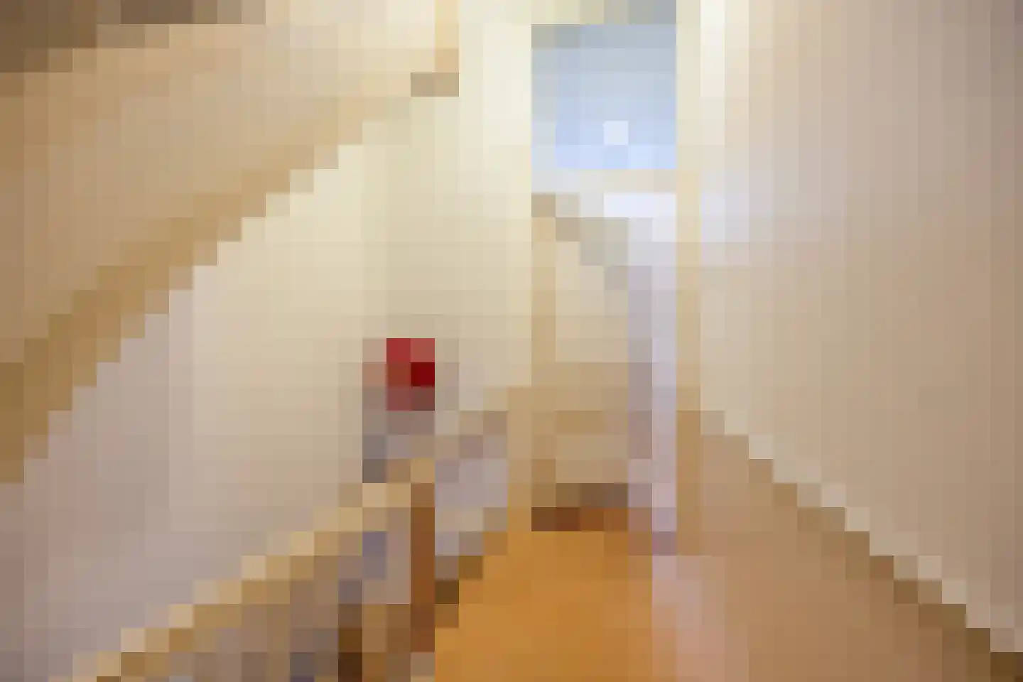 Pontanusstraat 19 Nijmegen thumbnail 8