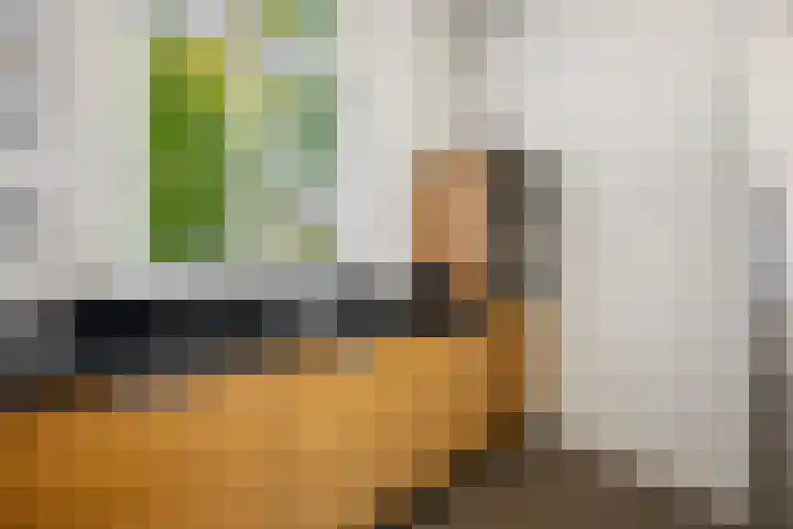 Pontanusstraat 32 Nijmegen thumbnail 31