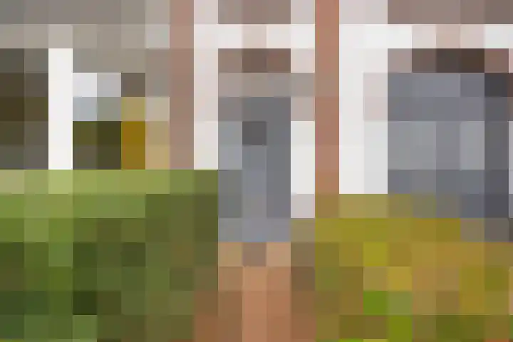 Pontanusstraat 32 Nijmegen thumbnail 6