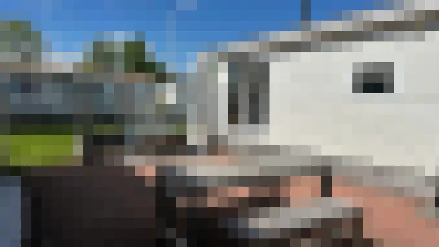 Pontdyk 6 13 Langweer thumbnail 20